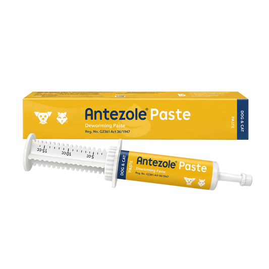 Antezole Deworming Paste for Dogs