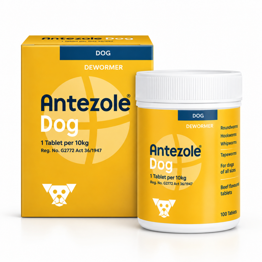 Antezole Deworming Tablets for Dogs