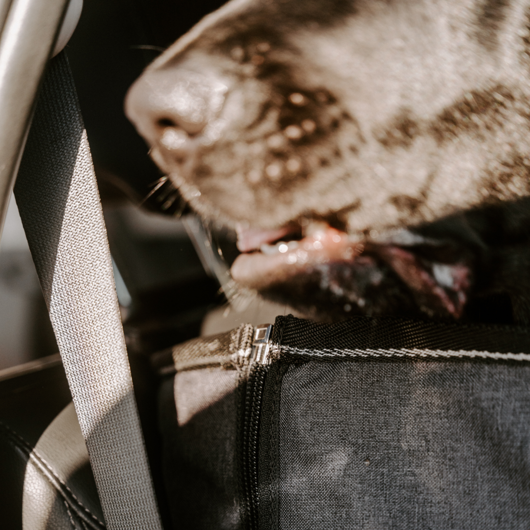 Deluxe Car Back Seat Protector