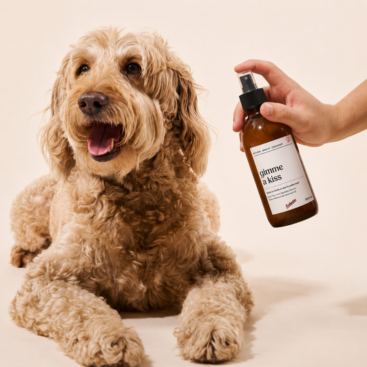 Badoodoo Natural Dental Care Kit