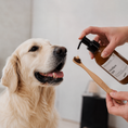 Load image into Gallery viewer, Badoodoo Natural Dental Care Kit | With Tooth Brush
