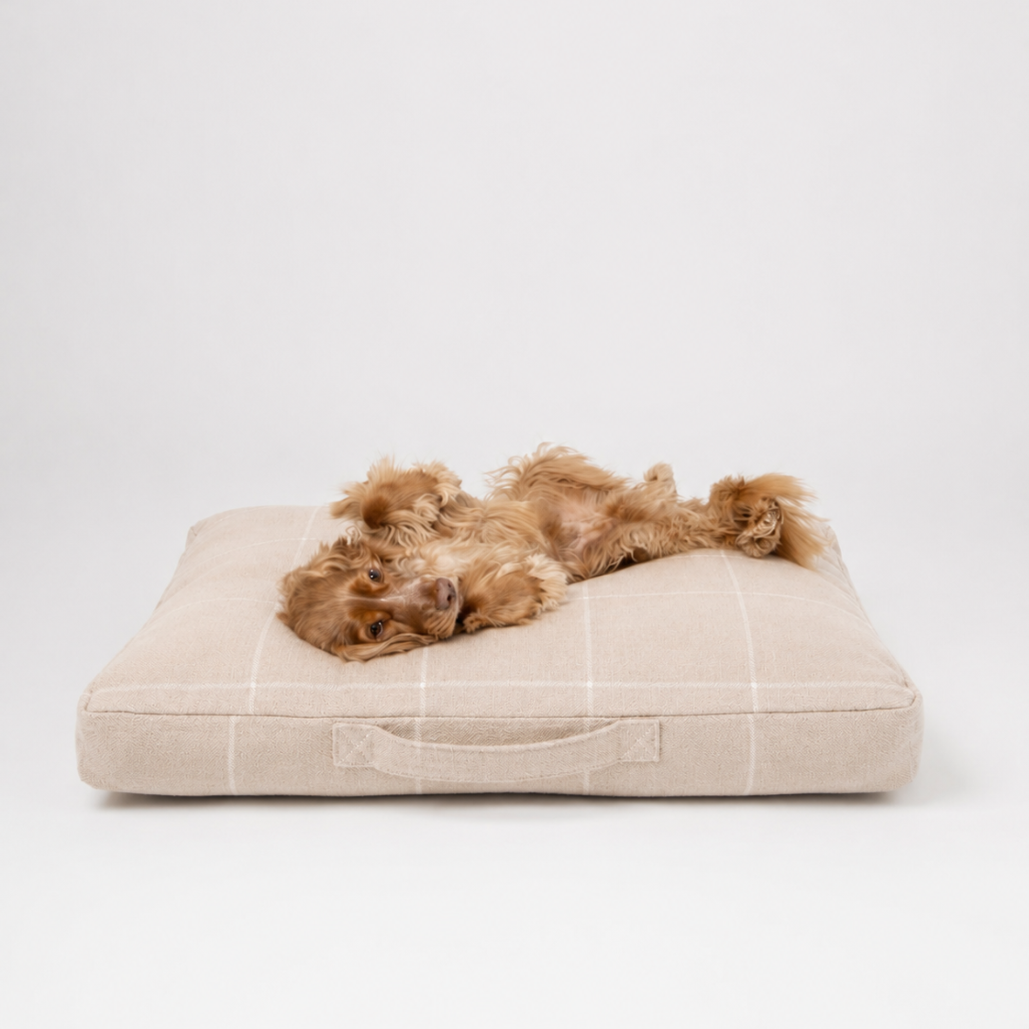 Flop Bed