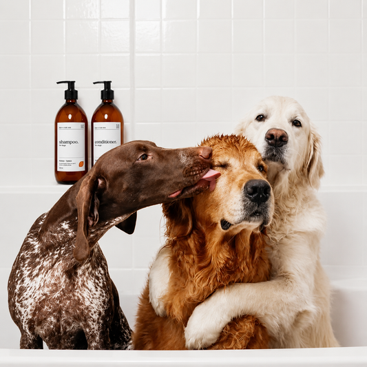 Shampoo & Conditioner Set