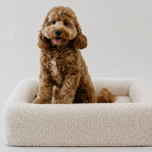 Bambi Bouclé Bed