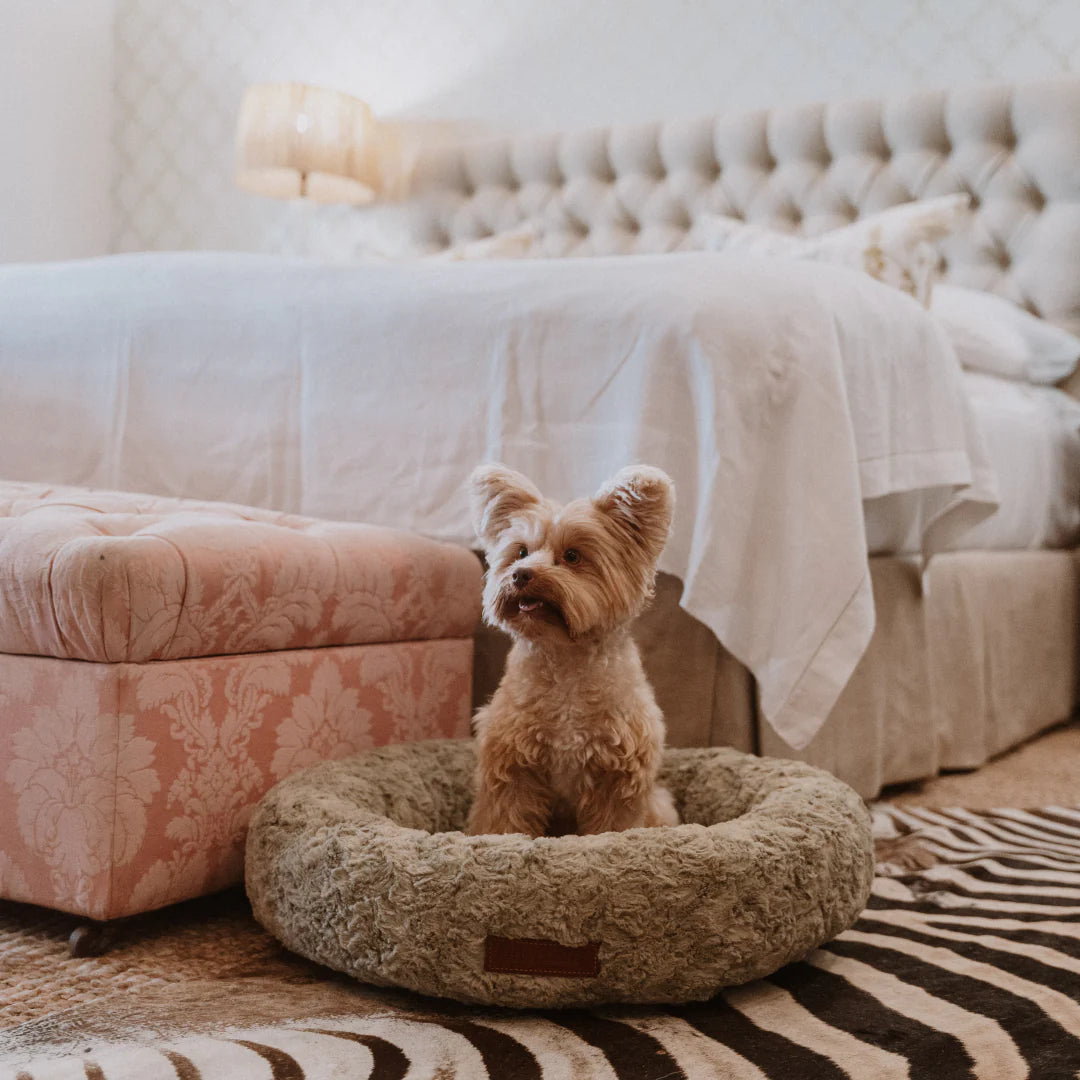 Calming Kuddler Bed