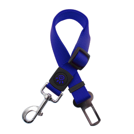 Seat Belt