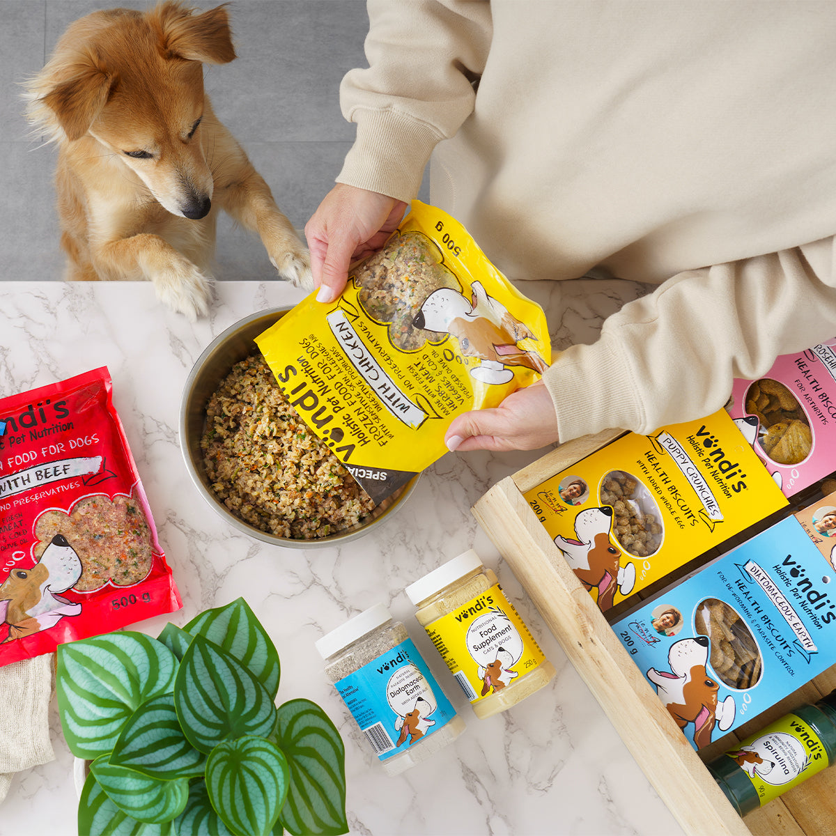 Diatomaceous Earth Dewormer