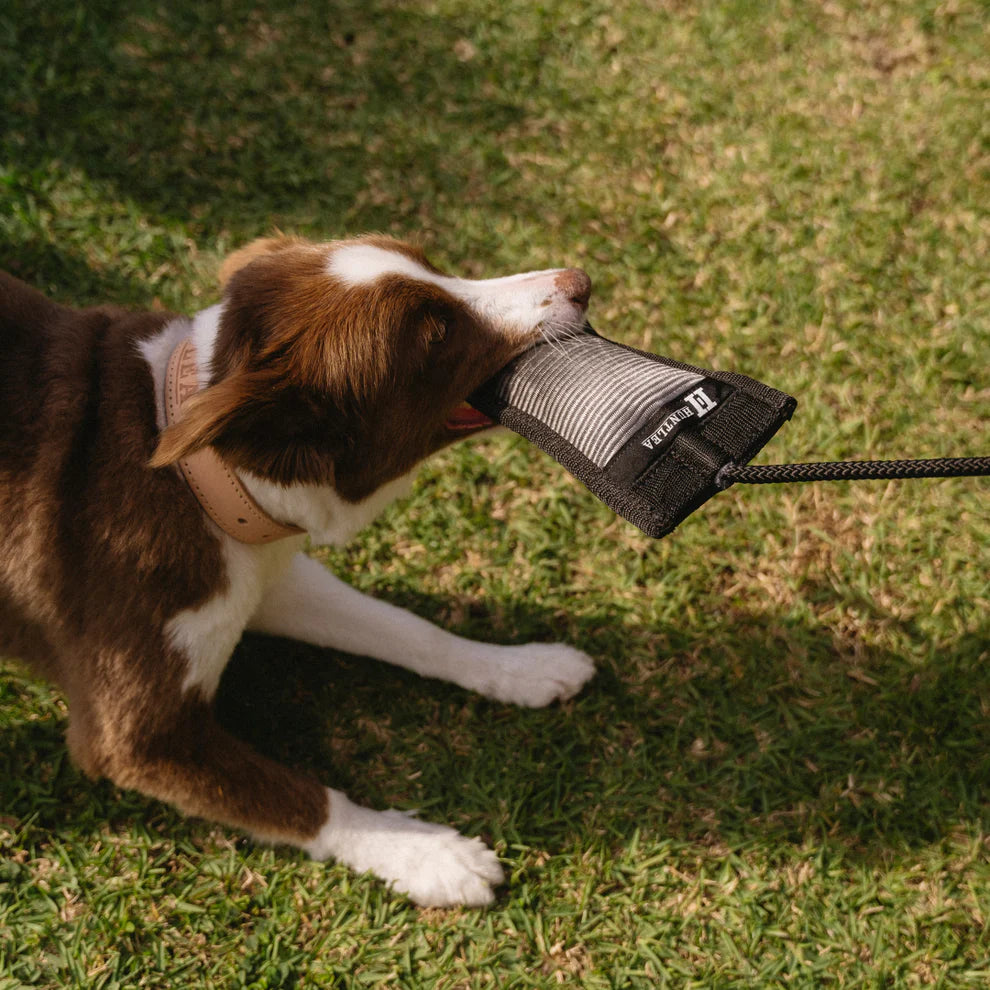 Duplex Toy With Double Rope Tug