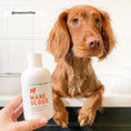 Load image into Gallery viewer, dog peeking out of bath with shampoo bottle. Dog having a bath
