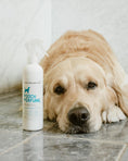 Load image into Gallery viewer, white dog perfume bottle spray bottle with golden retriever lying next to it 
