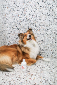 Load image into Gallery viewer, dog in shower with shampoo bottle 
