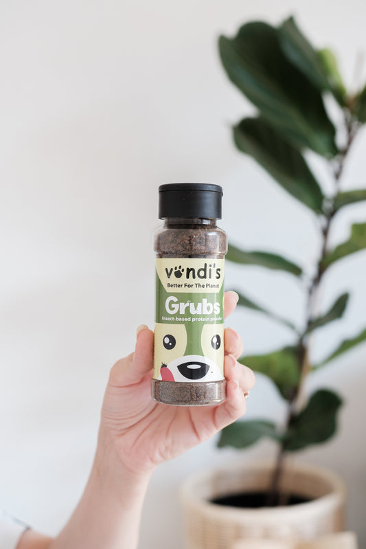 Insect Based Protein Powder