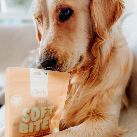 Peanut Butter & Banana Soft Dog Treats