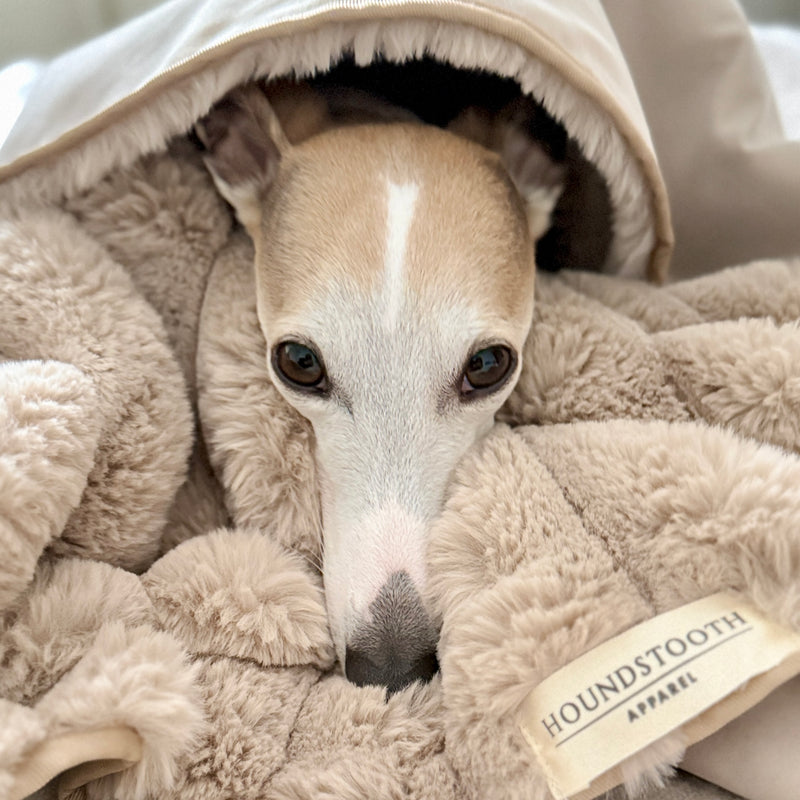Dog peeking out from under a fluffy beige blanket with 'Houndstooth Apparel' label.