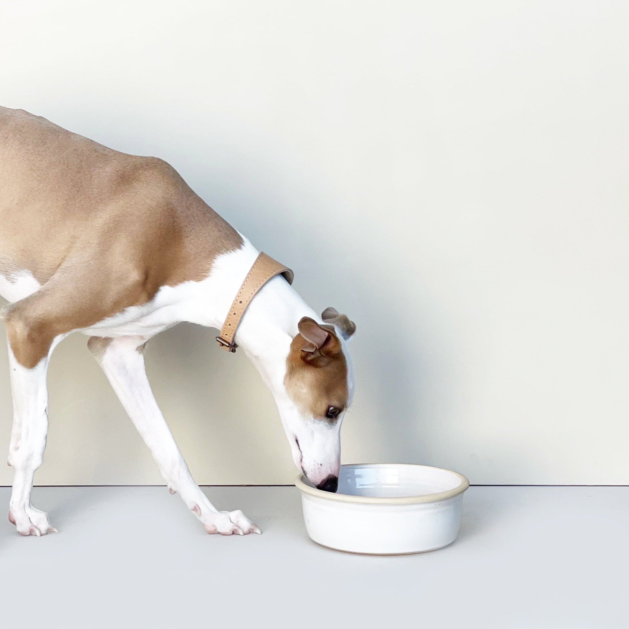 White Handmade Ceramic Dog Bowl
