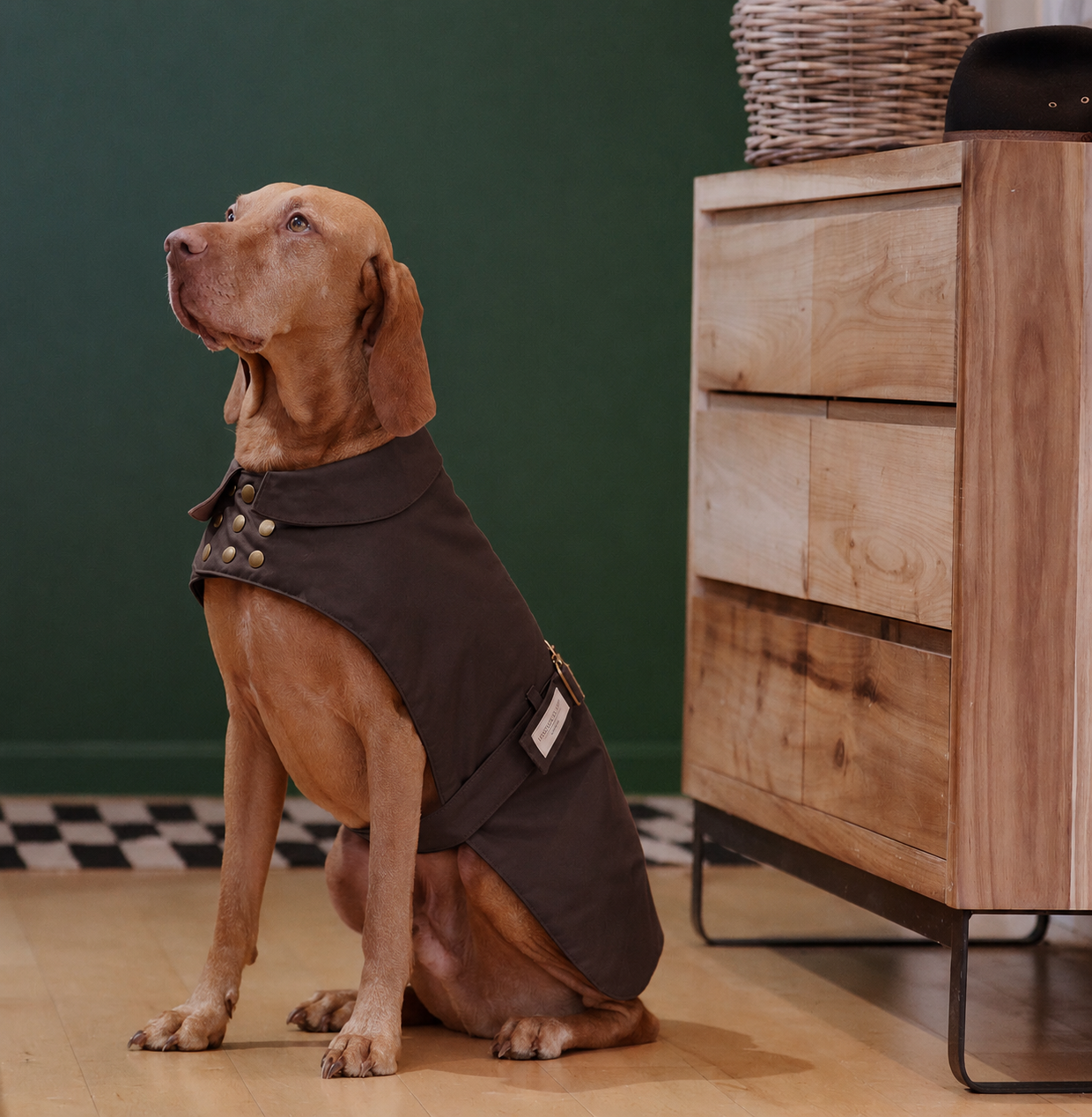 Tailored Reversible Coat