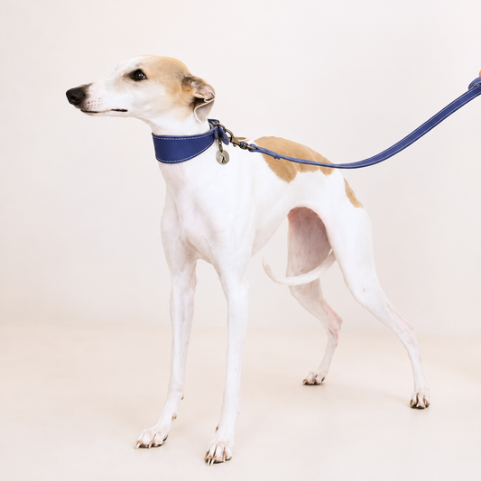 Indigo Leather Dog Lead