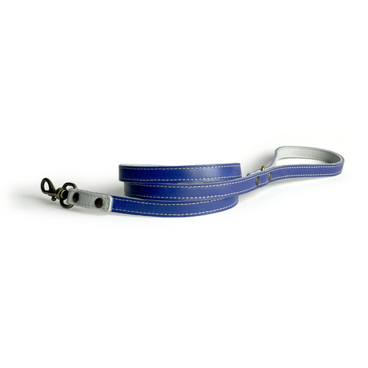 Indigo Leather Dog Lead