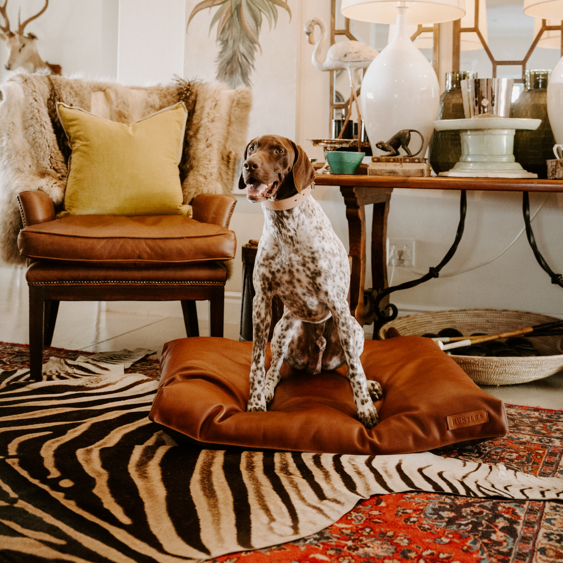 Dog sitting on a brown leather dog bed in a living room with a chair and table in the background.