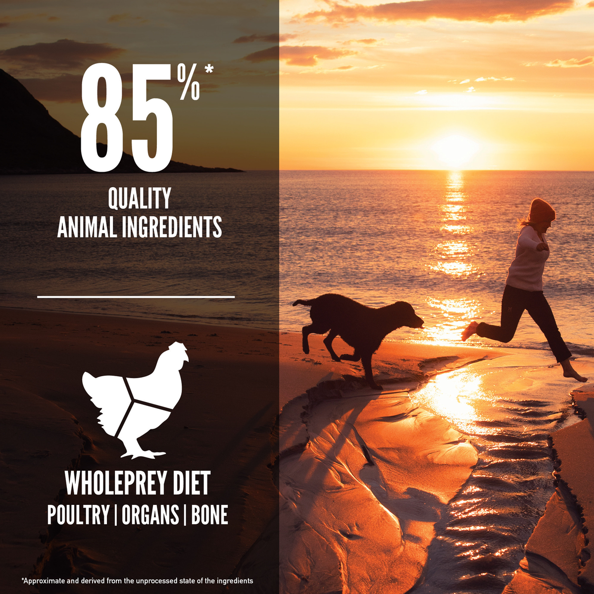 ORIJEN Fit & Trim Dry Dog Food