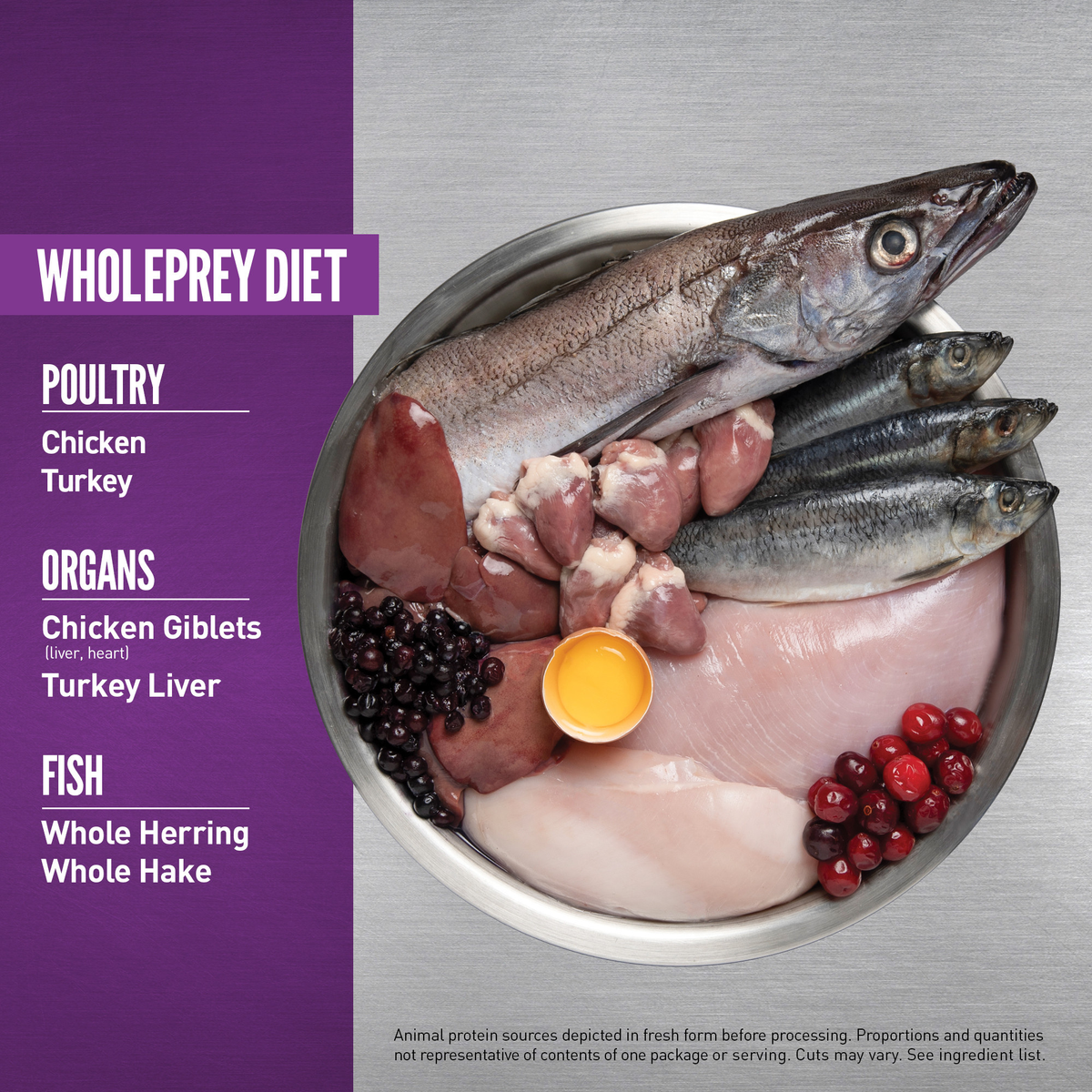 ORIJEN Puppy Large Breed Dry Dog Food