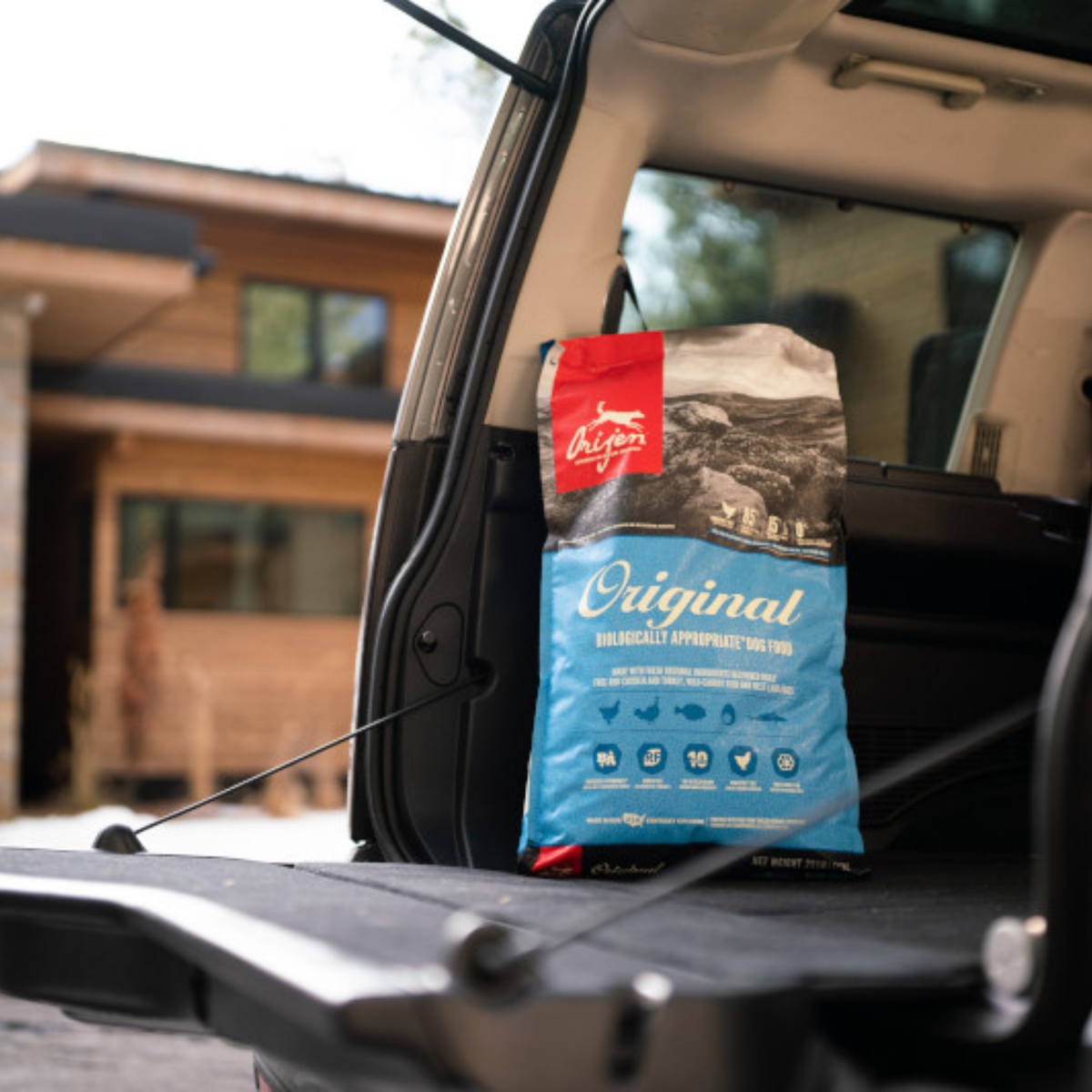 ORIJEN Original Dry Dog Food