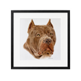 Load image into Gallery viewer, Custom Pet Portrait
