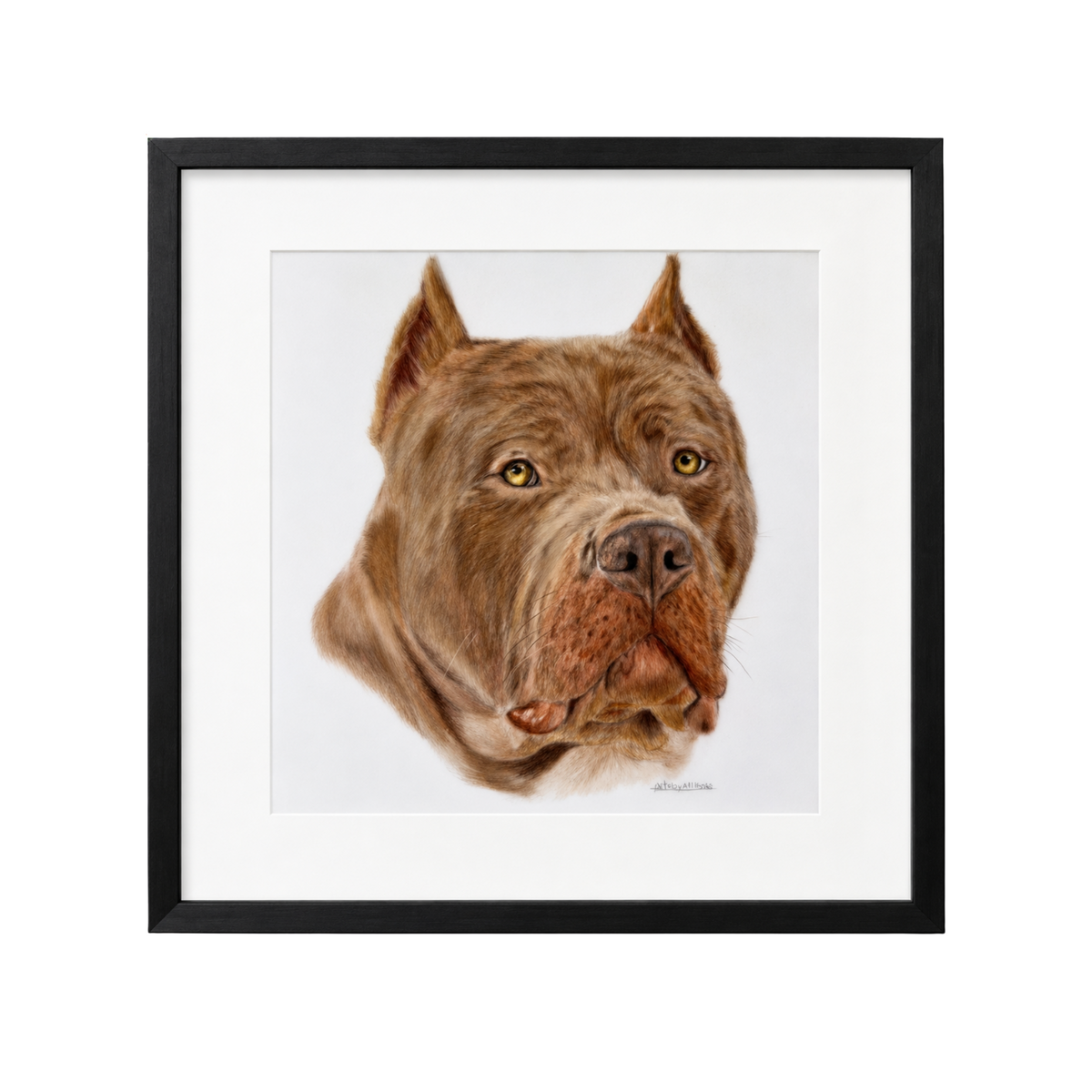 Custom Pet Portrait