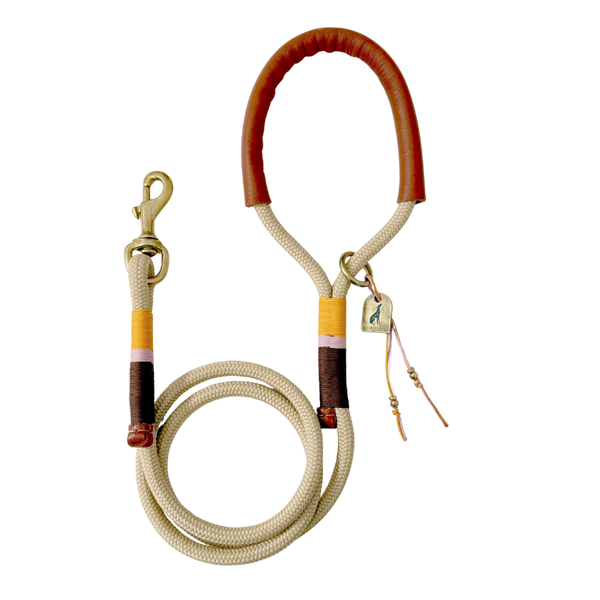 Leather & Rope Handle Lead