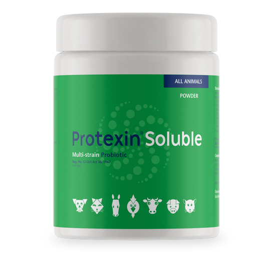 Protexin Soluble