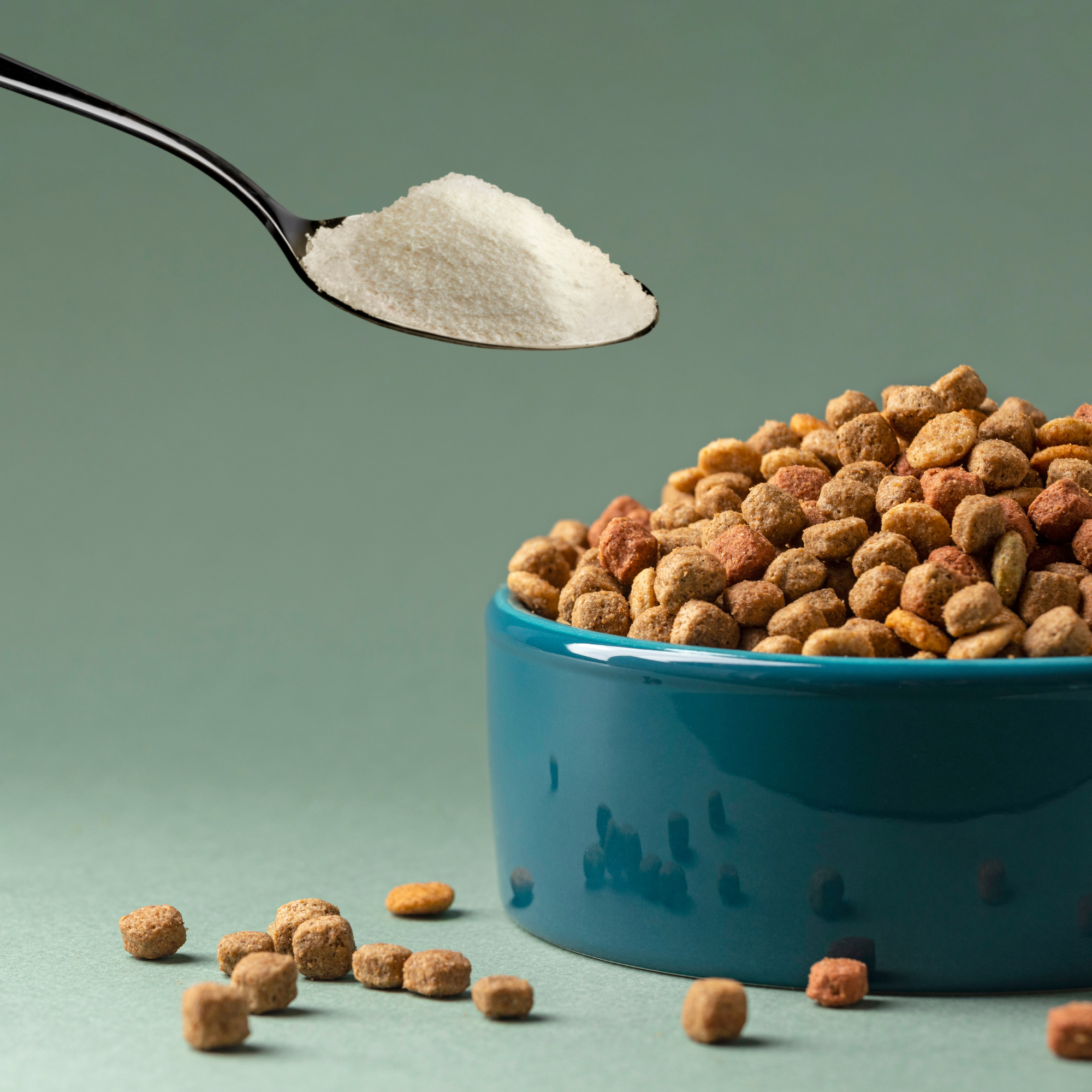 Chicken Bone Broth Powder