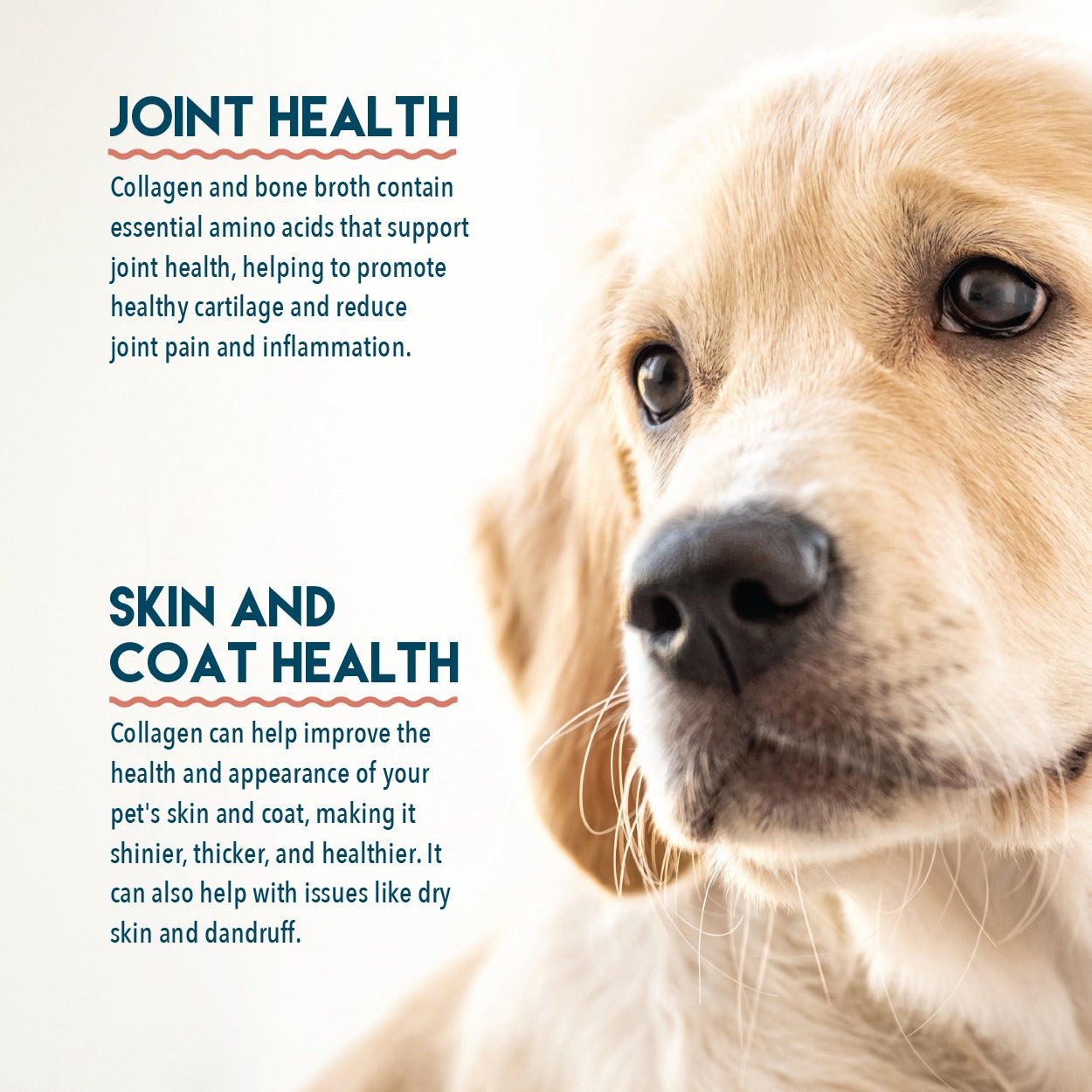 Beef Collagen Powder