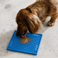 Load image into Gallery viewer, Bonegrid Enrichment Feeding Mat
