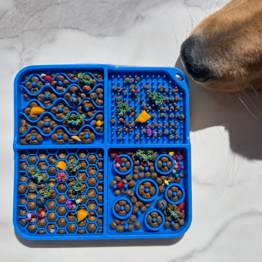Quadfest Enrichment Feeding Mat