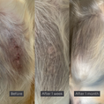 Load image into Gallery viewer, Itchy Skin Essentials
