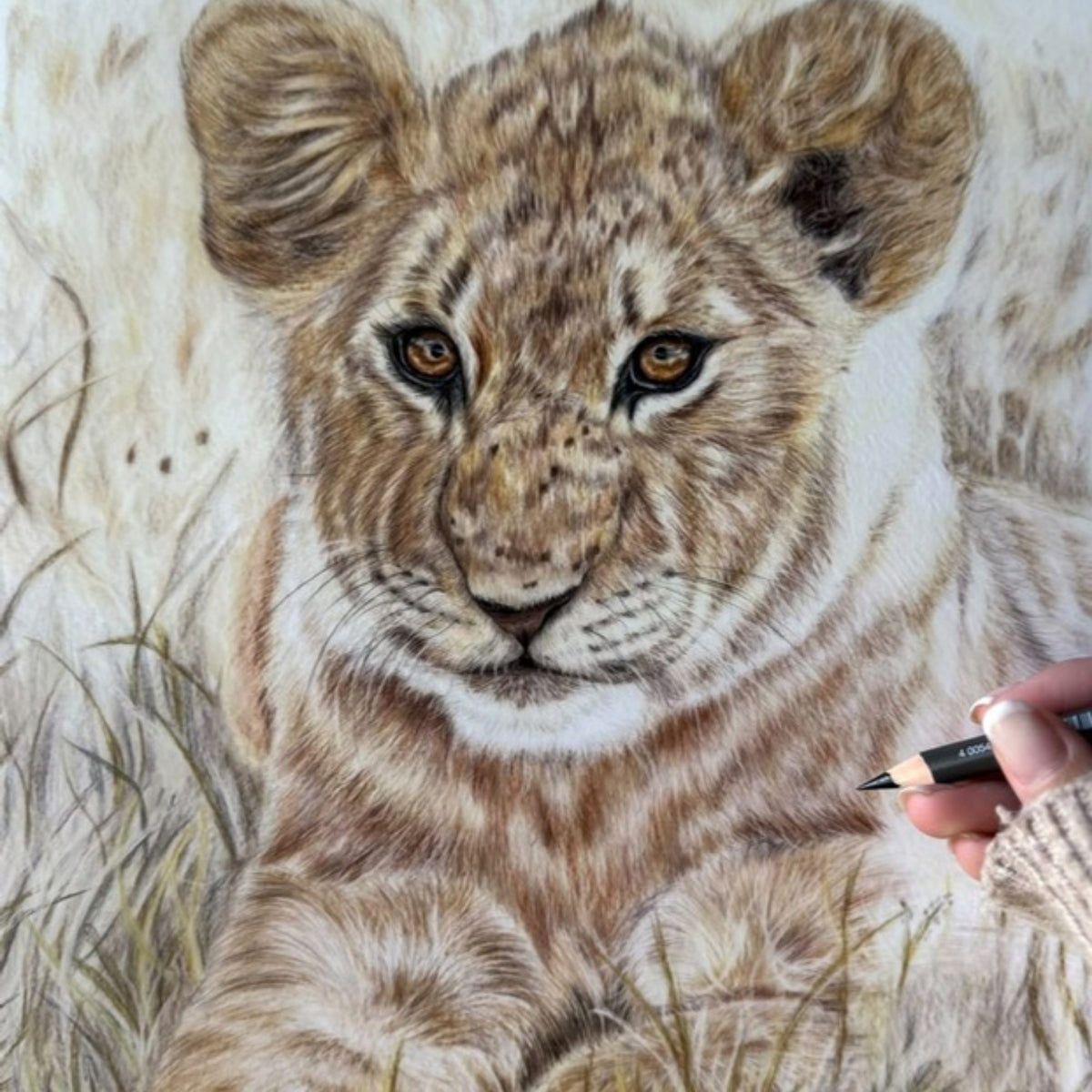 Artist drawing a coloured pencil portrait of a lion cub in the grass by Pets by Mills