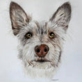 Load image into Gallery viewer, Coloured pencil portrait of a scruffy terrier mix with amber eyes by Pets by Mills
