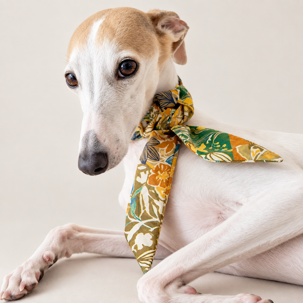 Twilly Cotton Scarf | Safari Club
