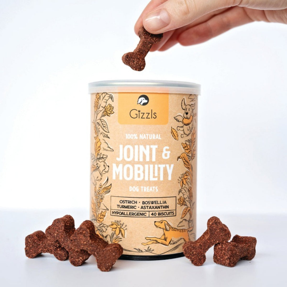 Hand holding a Gizzls Joint and Mobility dog treat above the tin