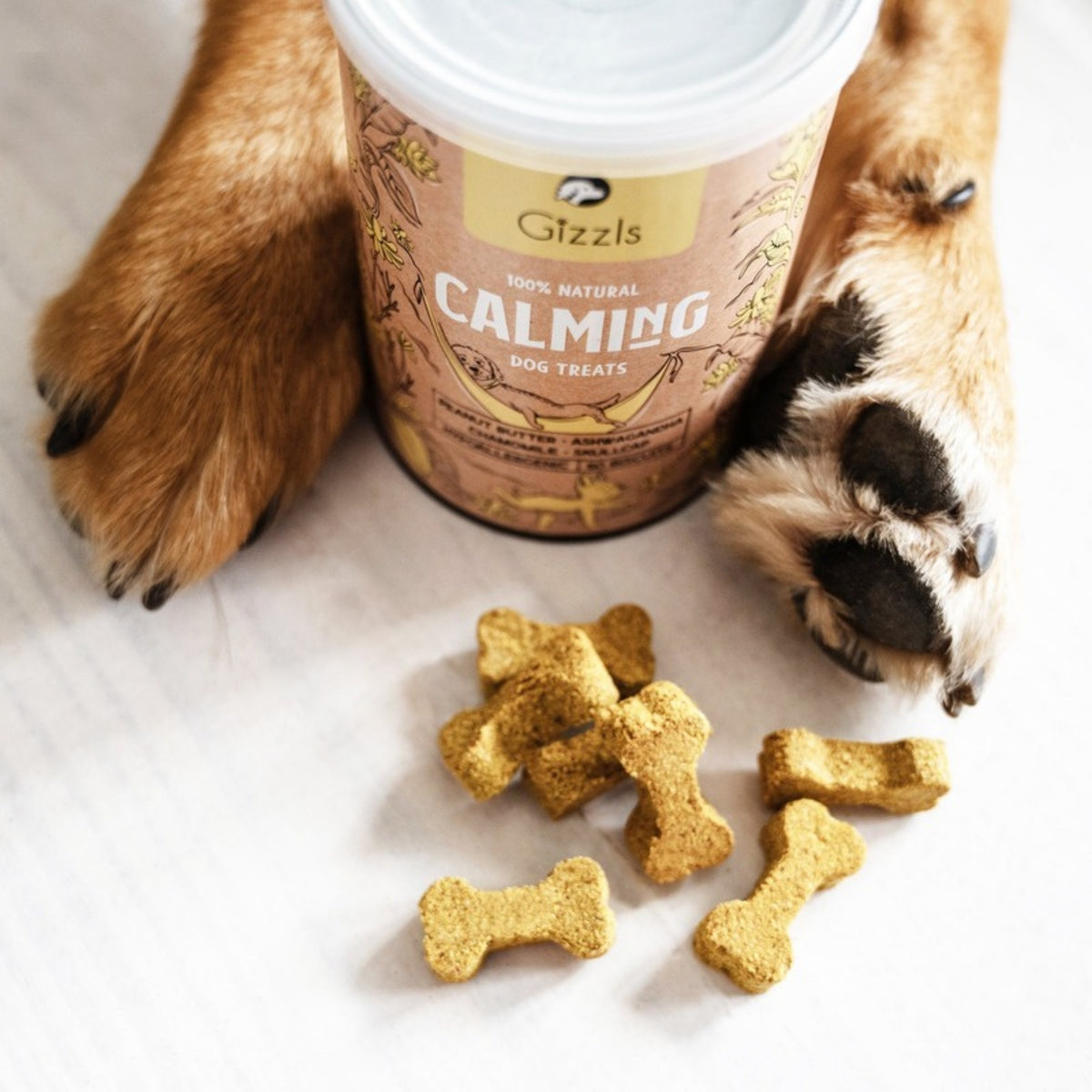 Dog with Gizzls Calming Dog Treats tin and bone shaped treats