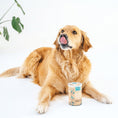Load image into Gallery viewer, Golden retriever with Gizzls dog treats for allergies and immunity
