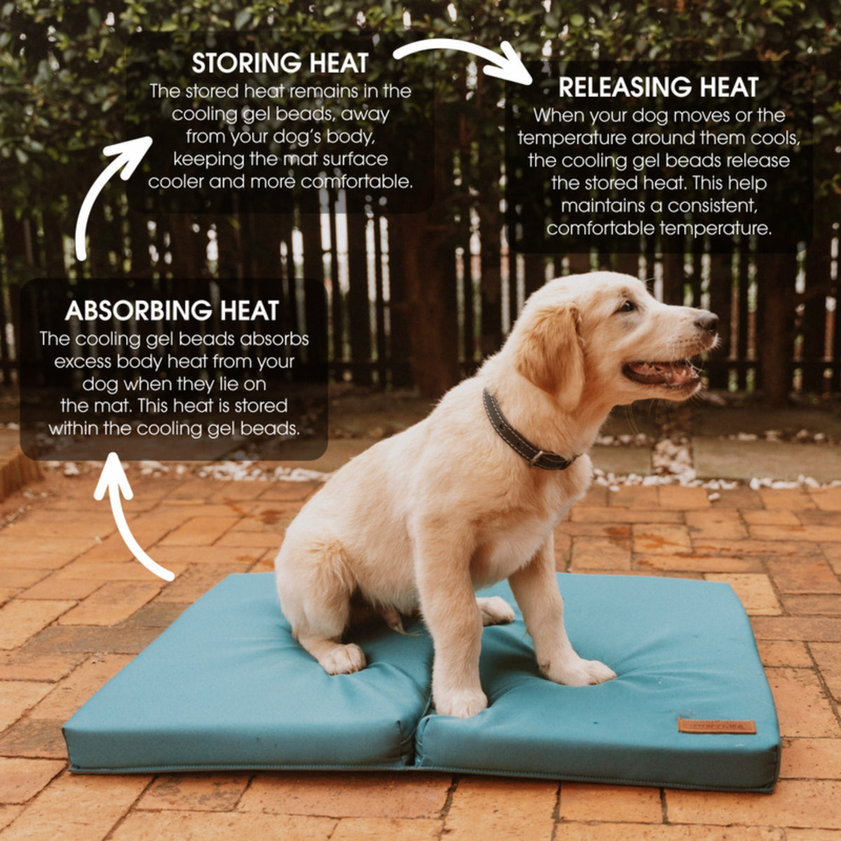 Puppy on a Huntlea cooling dog mat with a guide to how the cooling gel absorbs, stores and releases heat