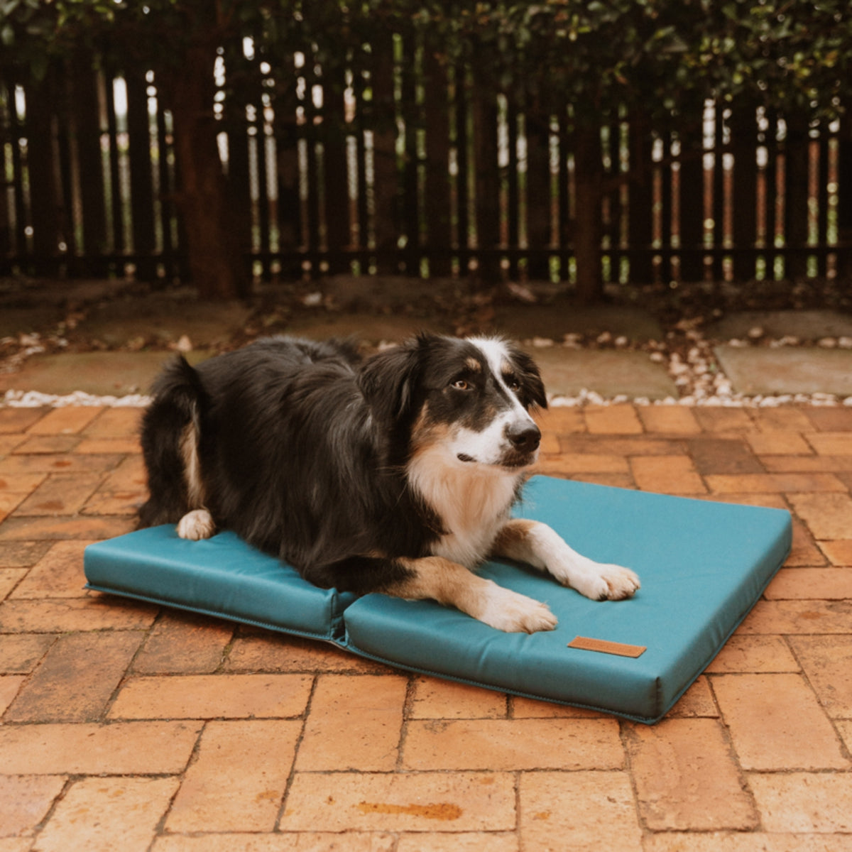 Border collie lying on a peacock blue Huntlea cooling dog mat on a patio