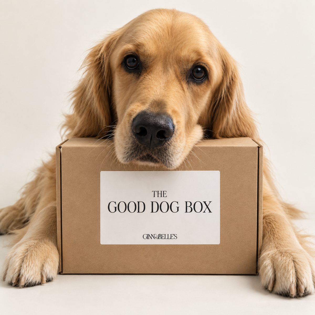 The Good Dog Box