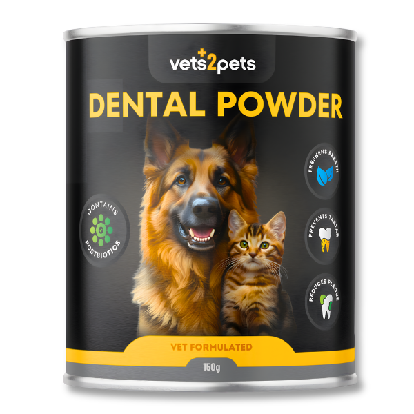 Dental Powder