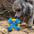 Load image into Gallery viewer, Dog with the Zugo Biteblast double ring chew toy outdoors
